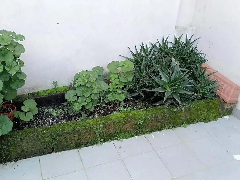 La Casetta Dell'Orto Viareggio 0*,  Italie